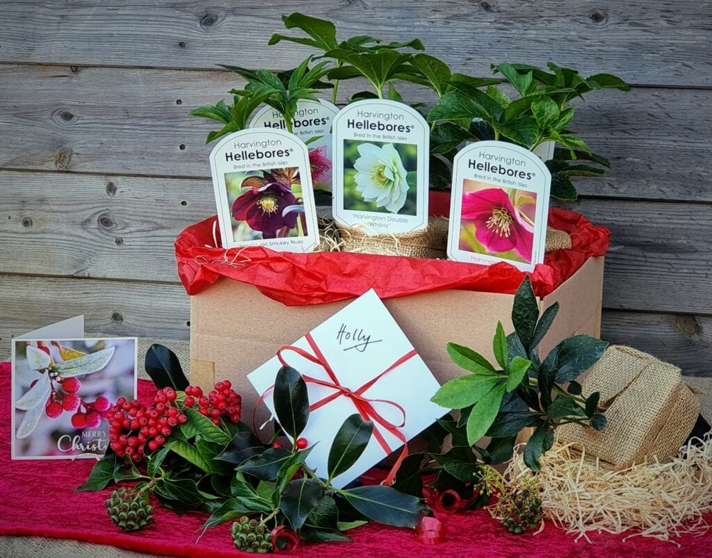 gardeners-christmas-gift-selection